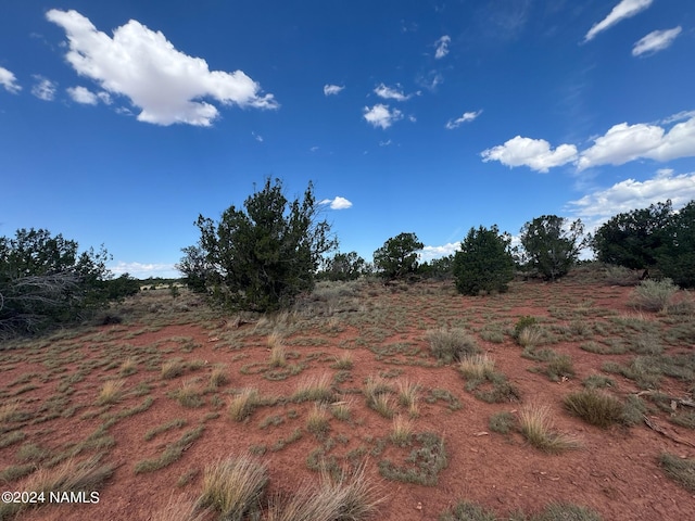 Listing photo 3 for 196 S Kaibab Rd, Williams AZ 86046