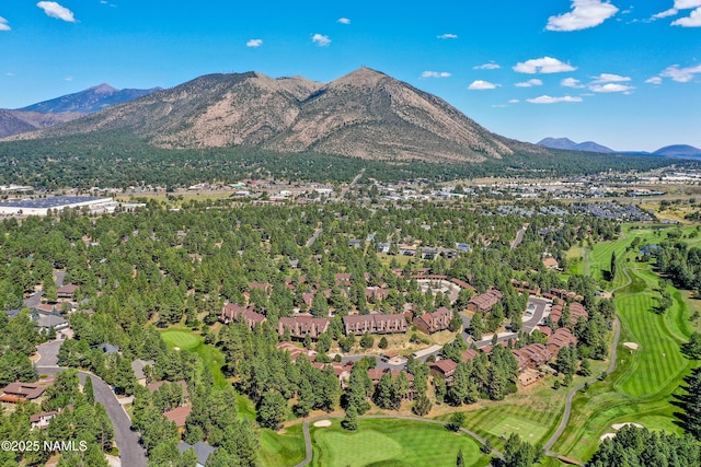 2466 N Earle Dr, Flagstaff, AZ 86004 - view of mountain backdrop with a local golf course