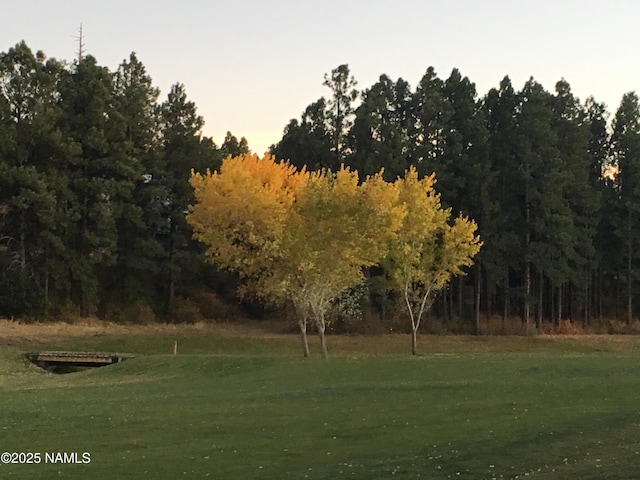 view of home's community featuring a lawn and a view of trees