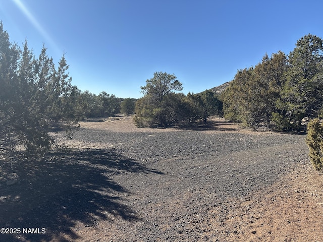 9733 N Stagecoach Dr, Williams, AZ 86046 - photo 9