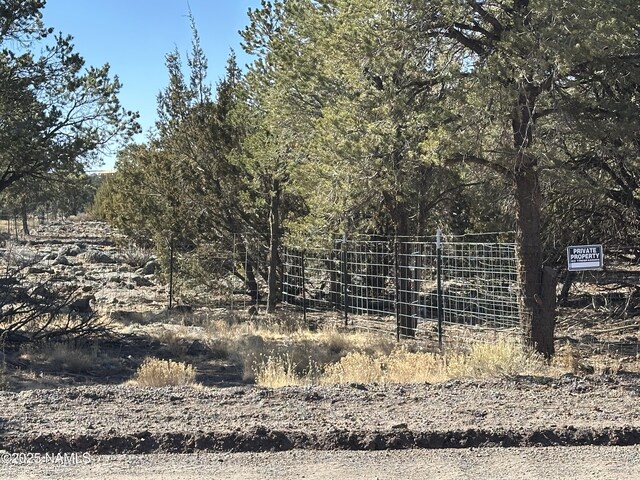 9733 N Stagecoach Dr, Williams, AZ 86046 - photo 5