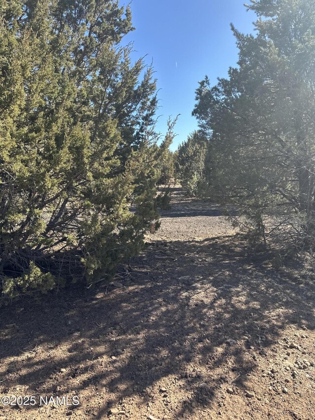 9733 N Stagecoach Dr, Williams, AZ 86046 - photo 14