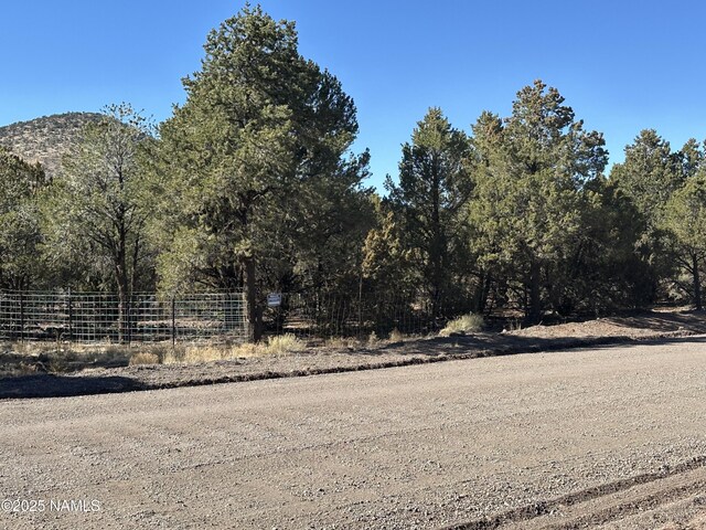 9733 N Stagecoach Dr, Williams, AZ 86046 - photo 8