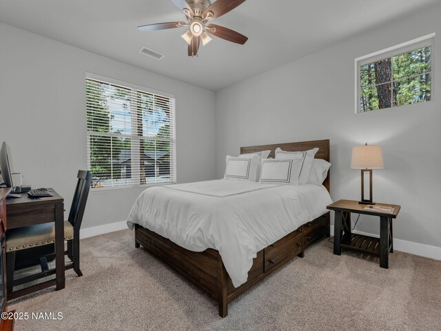 956 S Torrey Pines Dr, Williams, AZ 86046 - photo 22