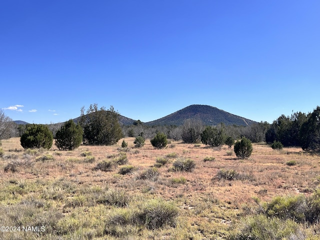 1156 E Utopia Trl, Williams, AZ 86046 - photo 3