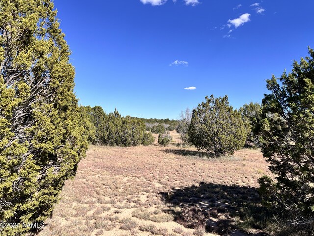 1156 E Utopia Trl, Williams, AZ 86046 - photo 6