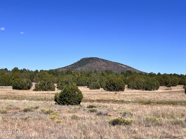 1156 E Utopia Trl, Williams, AZ 86046 - photo 9