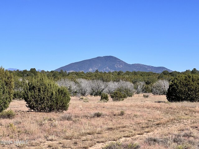 1156 E Utopia Trl, Williams, AZ 86046 - photo 10