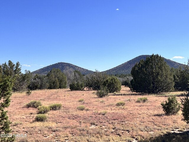 1156 E Utopia Trl, Williams, AZ 86046 - photo 8