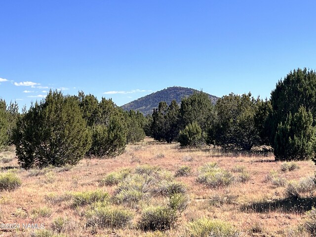 1156 E Utopia Trl, Williams, AZ 86046 - photo 14