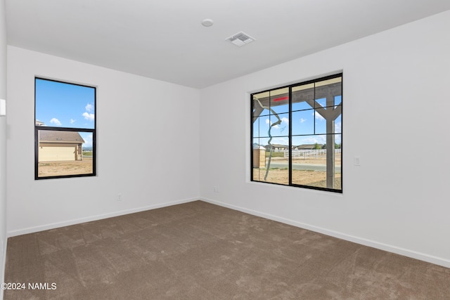 unfurnished room featuring plenty of natural light and carpet flooring