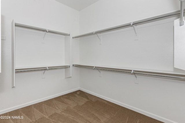 spacious closet with carpet