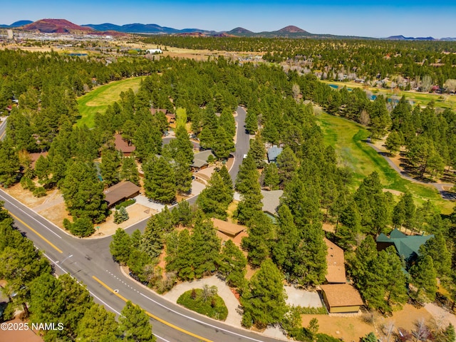 birds eye view of property with a mountain view