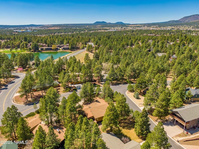 birds eye view of property featuring a forest view and a water and mountain view