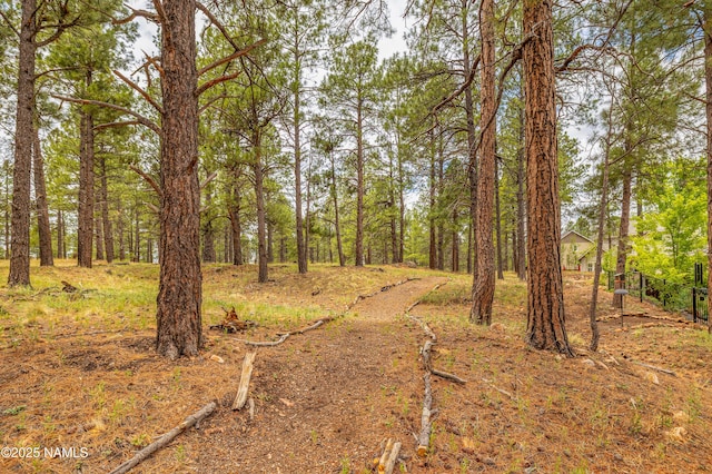 3285 S Hannah Ln, Flagstaff, AZ 86005 - photo 46