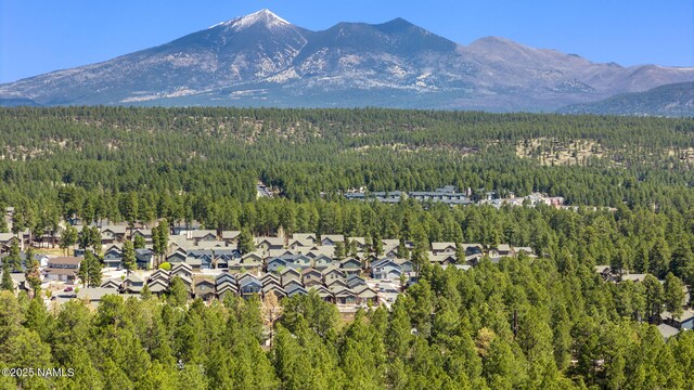 2417 W Mission Timber Cir, Flagstaff, AZ 86001 - photo 40