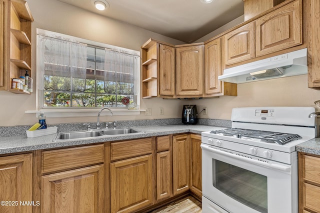 11095 N Rodeo Rd, Flagstaff, AZ 86004 - kitchen featuring open shelves, under cabinet range hood, a sink, and white gas range