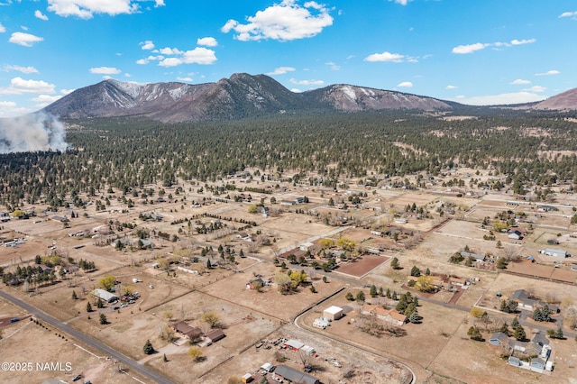 11095 N Rodeo Rd, Flagstaff, AZ 86004 - aerial view featuring a mountain view