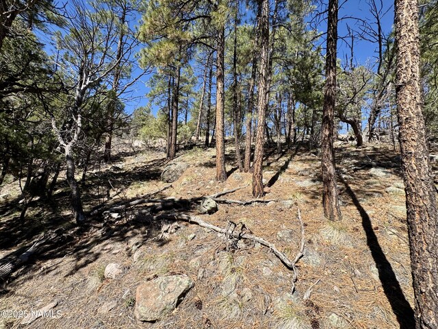 1201 Redwall Way, Williams, AZ 86046