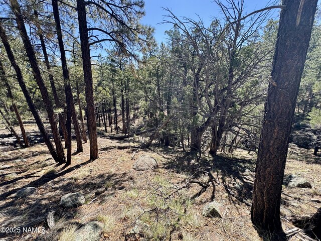 1201 Redwall Way, Williams, AZ 86046