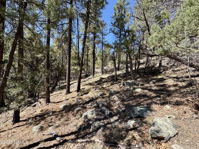 1201 Redwall Way, Williams, AZ 86046
