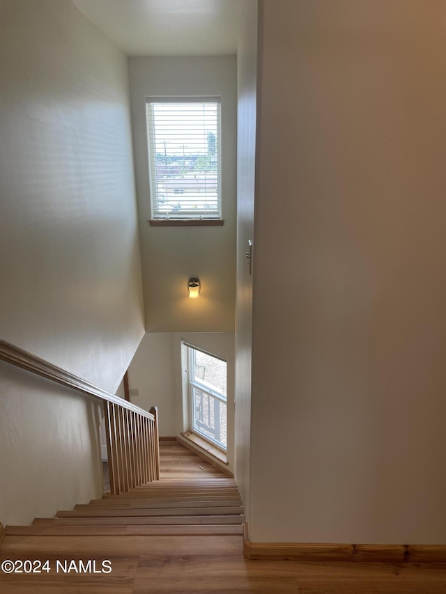 stairway featuring wood-type flooring