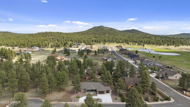 3182 W Northwood Ct, Williams, AZ 86046 - photo 46