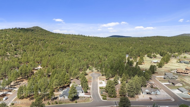3182 W Northwood Ct, Williams, AZ 86046 - photo 48