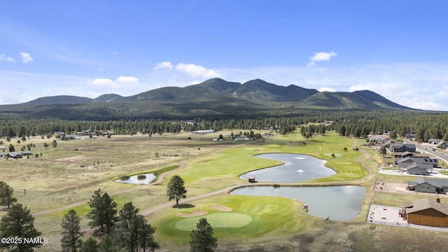 3182 W Northwood Ct, Williams, AZ 86046 - photo 49