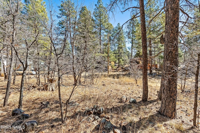 view of local wilderness