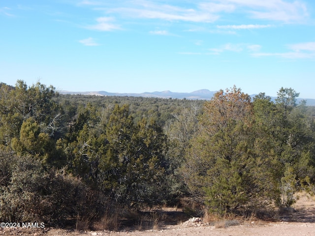 view of mountain feature