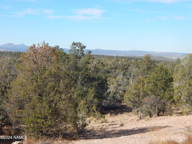 view of mountain feature