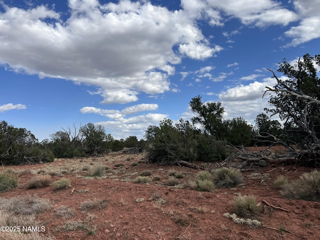 9558 Bird Dog Cir, Williams, AZ 86046