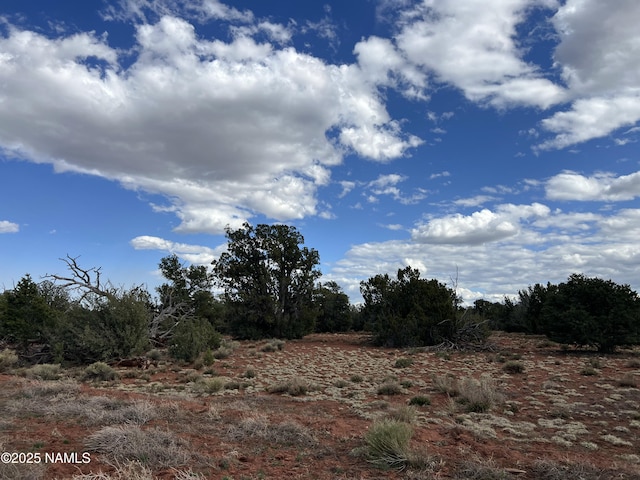9558 Bird Dog Cir, Williams, AZ 86046