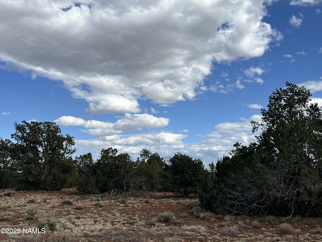 9558 Bird Dog Cir, Williams, AZ 86046
