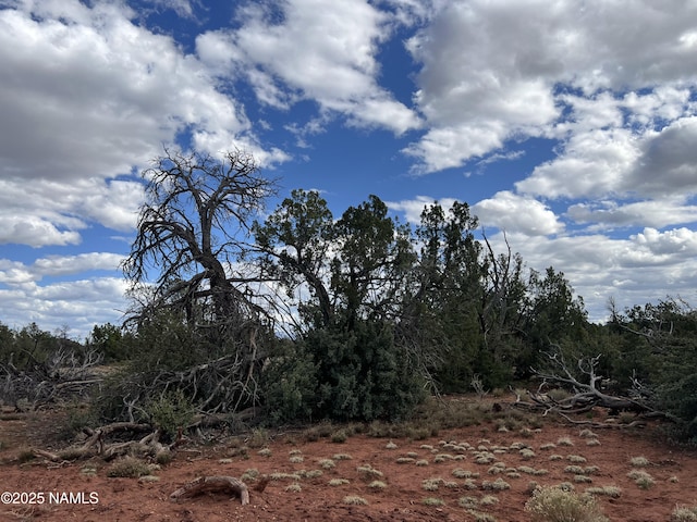9558 Bird Dog Cir, Williams, AZ 86046