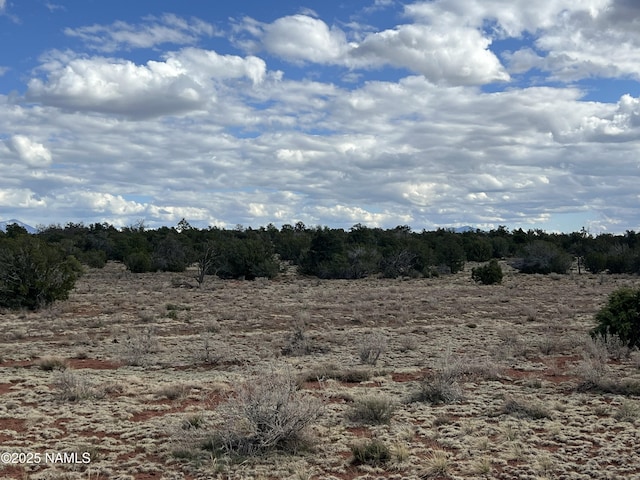 9558 Bird Dog Cir, Williams, AZ 86046