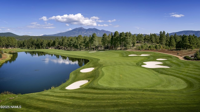 3485 W Strawberry Roan, Flagstaff, AZ 86005 - photo 28
