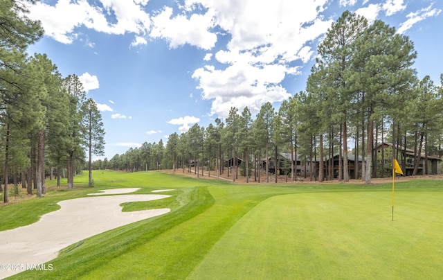 3485 W Strawberry Roan, Flagstaff, AZ 86005 - photo 51
