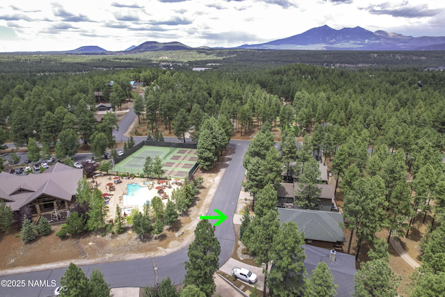 3485 W Strawberry Roan, Flagstaff, AZ 86005 - photo 40