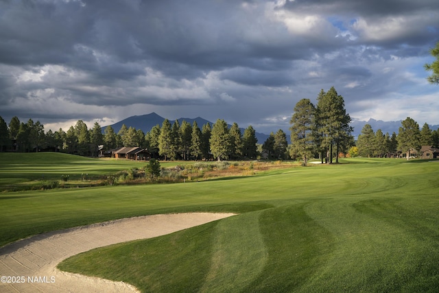 3485 W Strawberry Roan, Flagstaff, AZ 86005 - photo 26