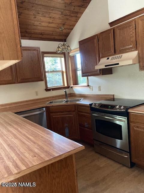8355 N Stony Mountain Way, Flagstaff, AZ 86001 - kitchen featuring under cabinet range hood, appliances with stainless steel finishes, a sink, lofted ceiling, and light wood-style flooring
