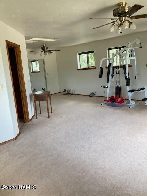 8355 N Stony Mountain Way, Flagstaff, AZ 86001 - workout area with ceiling fan, light colored carpet, and baseboards