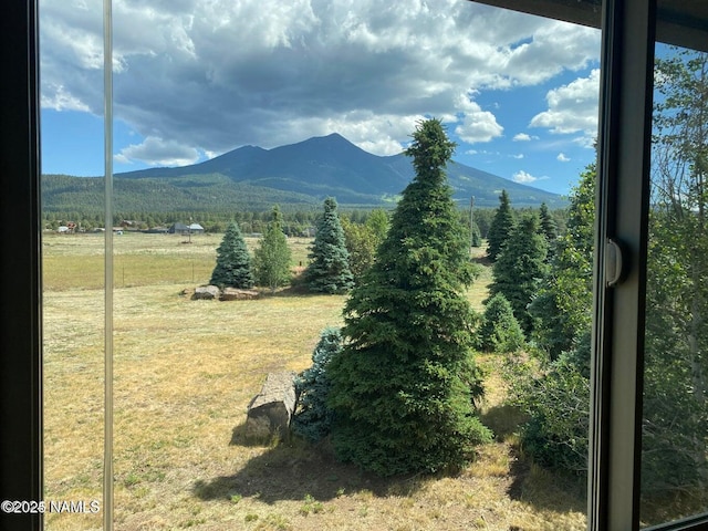 8355 N Stony Mountain Way, Flagstaff, AZ 86001 - mountain view featuring rural landscape