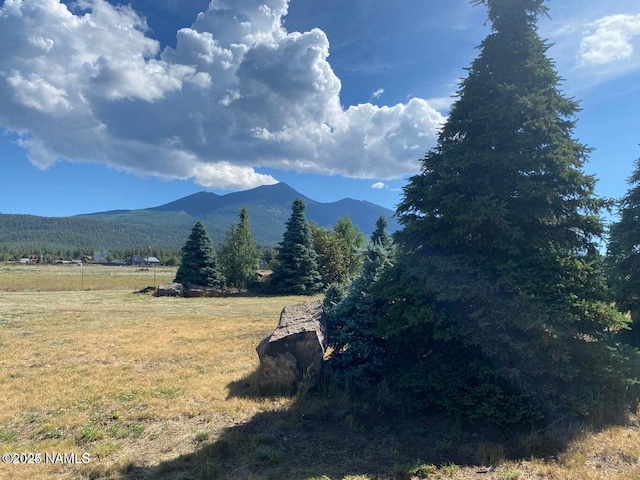 8355 N Stony Mountain Way, Flagstaff, AZ 86001 - view of mountain backdrop