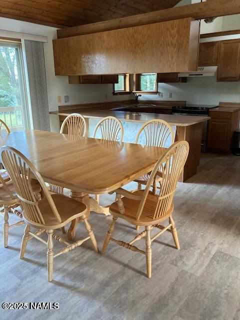 8355 N Stony Mountain Way, Flagstaff, AZ 86001 - dining area with plenty of natural light, wood ceiling, and light flooring