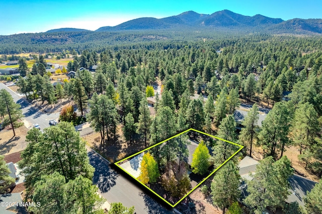 aerial view with a mountain view