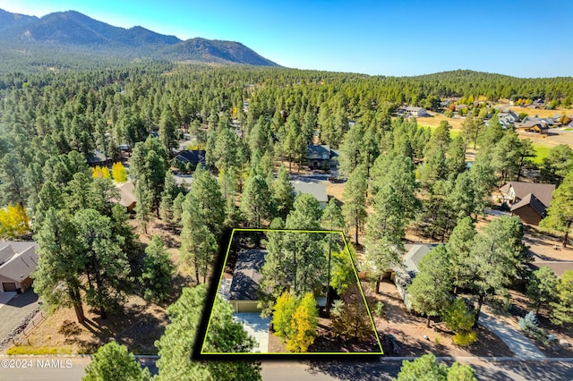 bird's eye view featuring a mountain view