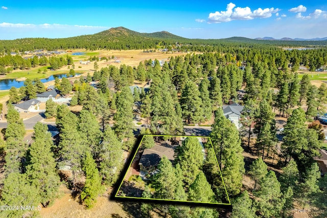 drone / aerial view featuring a water and mountain view