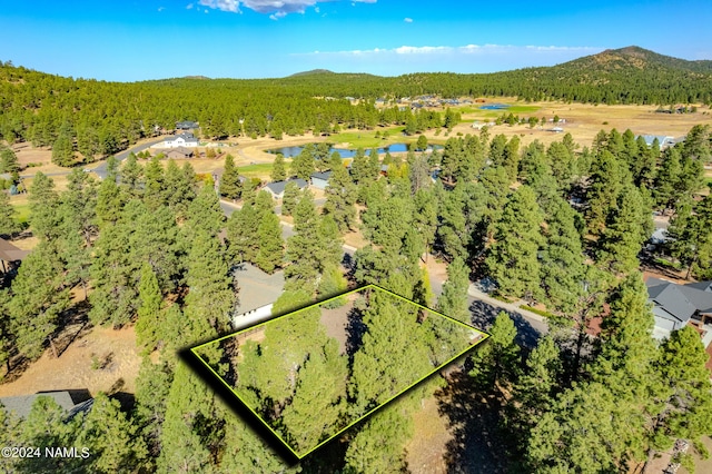 birds eye view of property with a mountain view